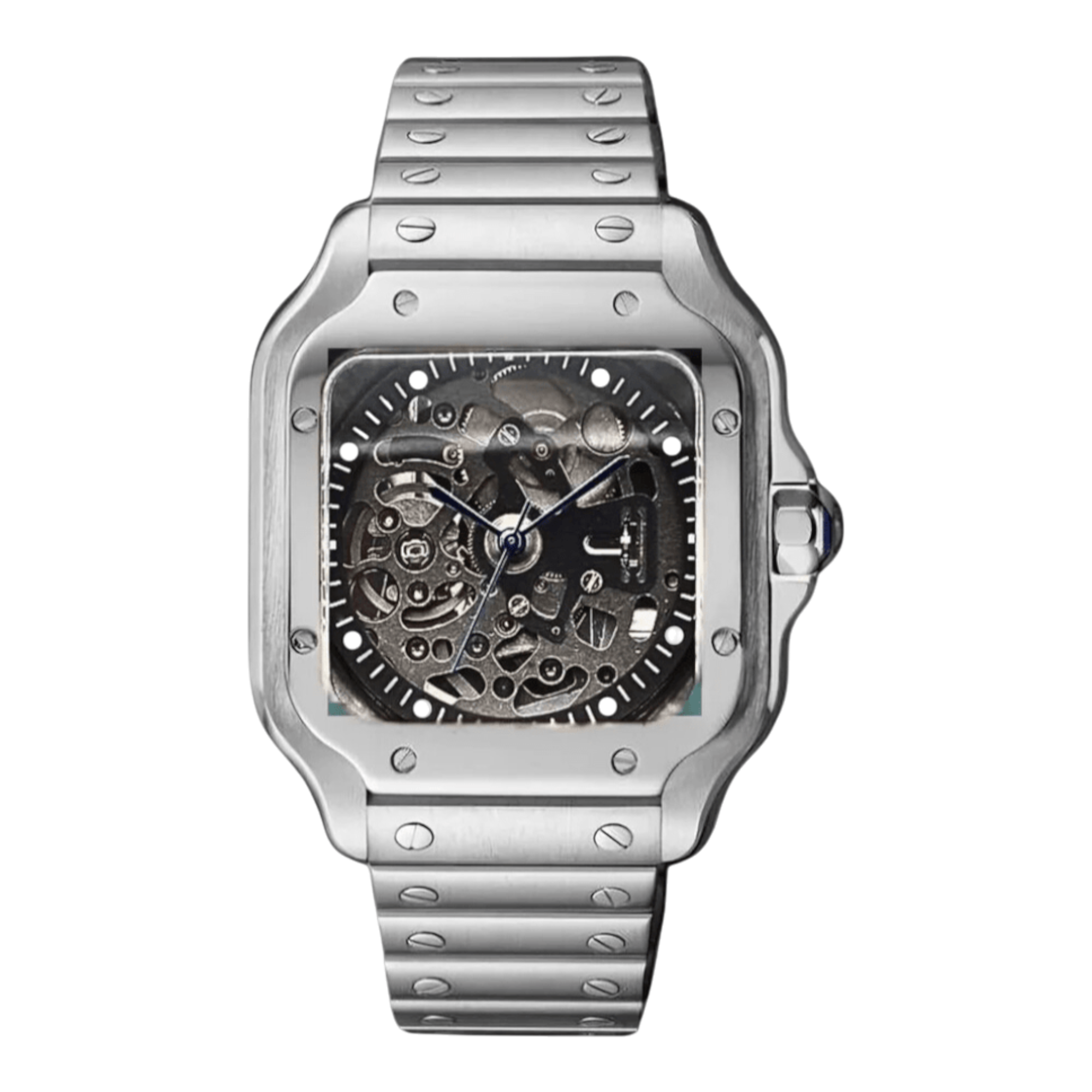 Santos - Skeleton