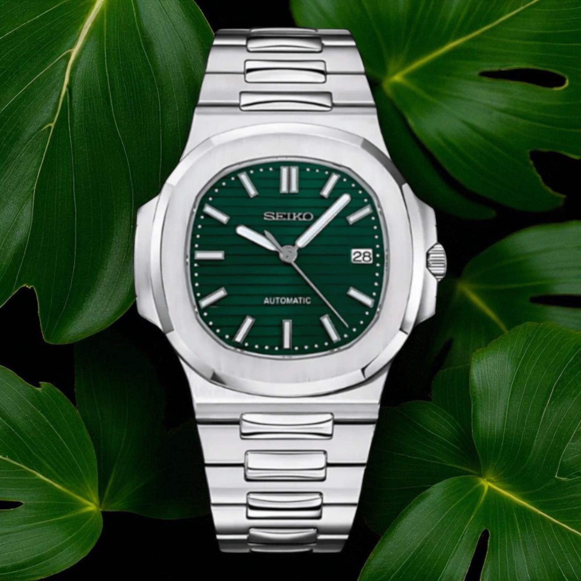Nautilus - Vert